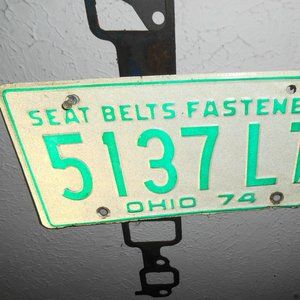RARE 1974 OHIO SINGLE LICENSE PLATE NOVELTY FUN!